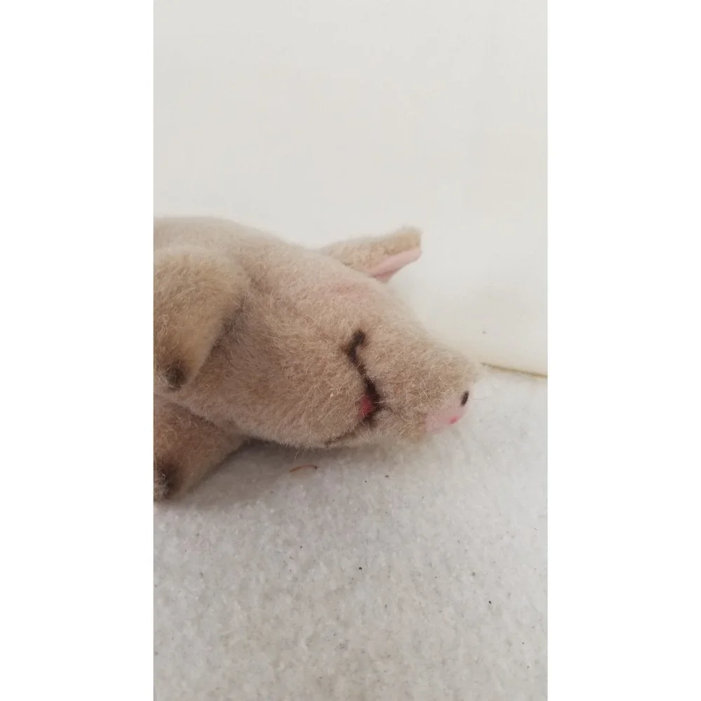 Steiff Piggy 6